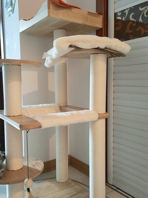 猫爬架