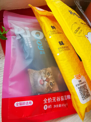 猫罐头