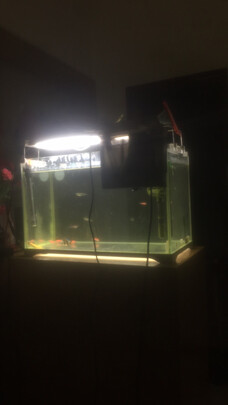 鱼缸uv杀菌灯紫外线