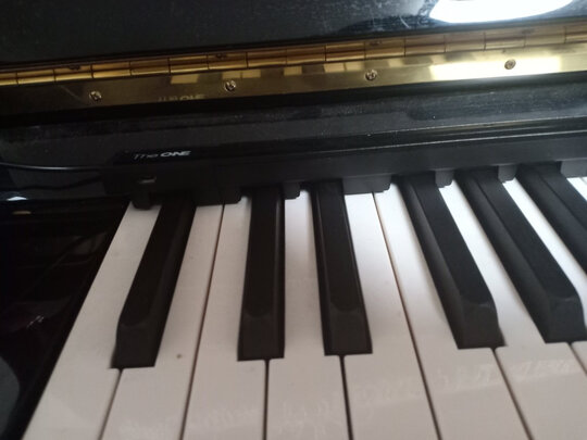 壹枱灯条电钢琴|壹枱灯条电钢琴怎么样评测分析结果告知！