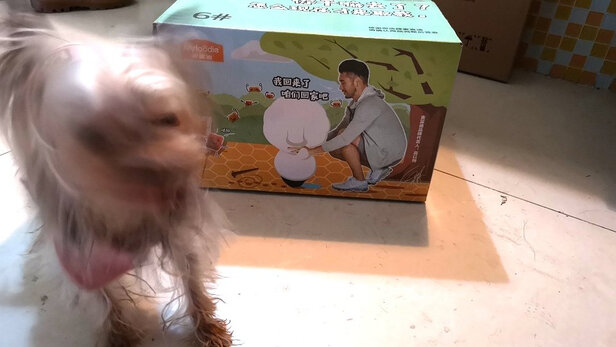 狗粮