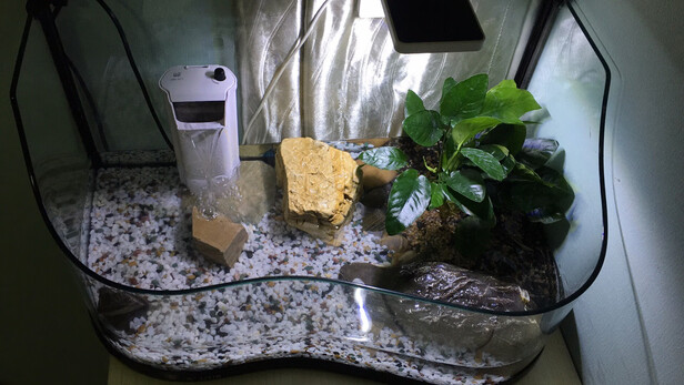 鱼缸造景石头