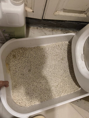 豆腐猫砂