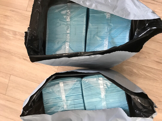 宠物纸尿裤