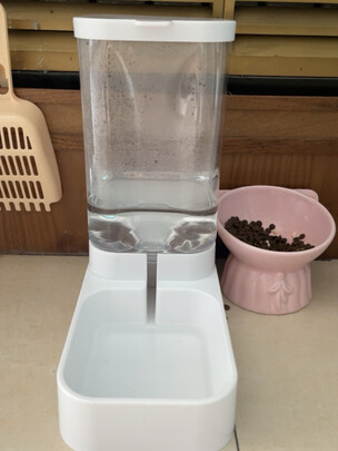 宠物自动喂食器