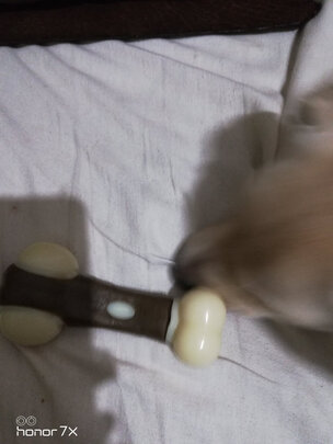 狗狗玩具