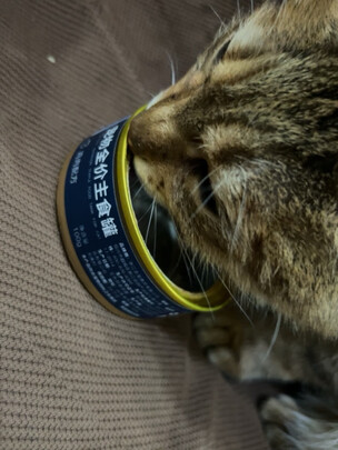猫粮罐头