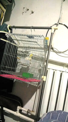鸟笼