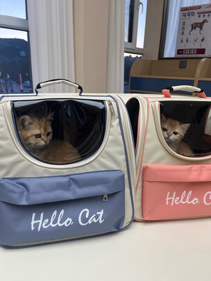 猫包