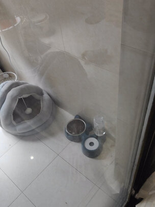 猫碗狗碗