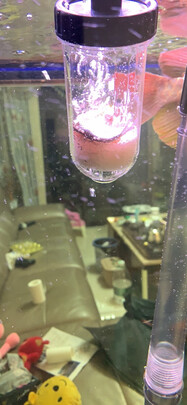 鱼缸换水器