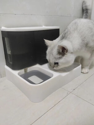 宠物饮水机