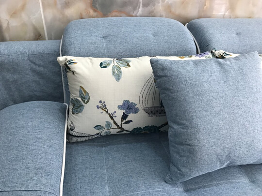 若姿兰沙发是品牌吗？若姿兰沙发怎么样用后感受