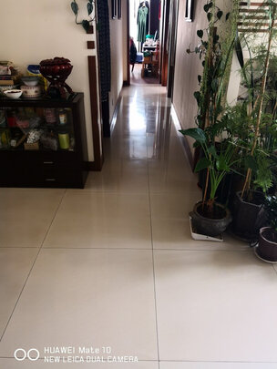 EUP爱普多功能蒸汽拖把|参考剖析EUP爱普多功能蒸汽拖把怎么样?深度测评剖析