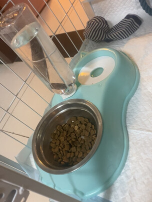 猫碗狗碗