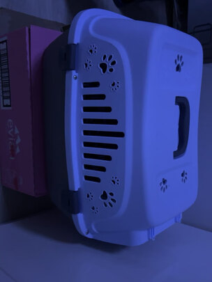 宠物包