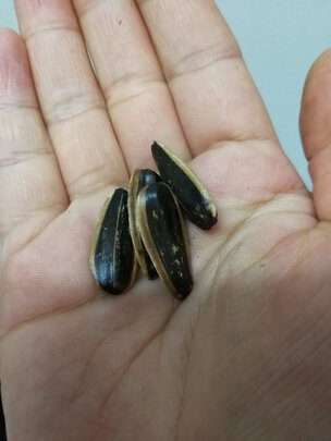 坚果炒货