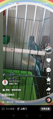鸟笼