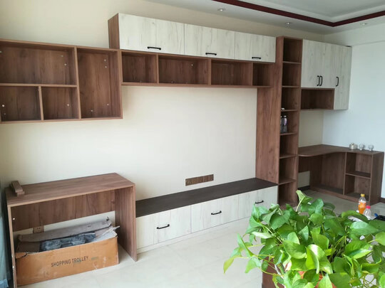 丽维家衣柜怎么样?使用感受 - 乐器教程网