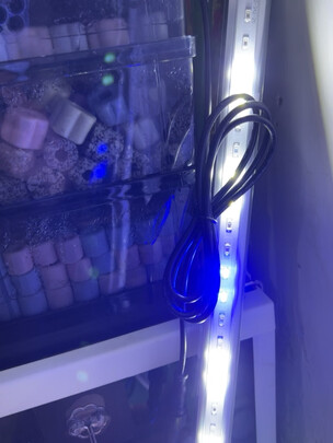 鱼缸灯led灯