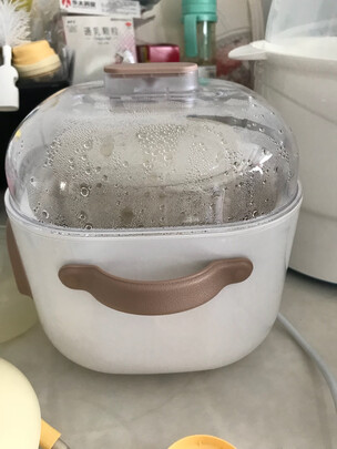 电炖锅