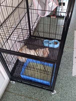  猫笼