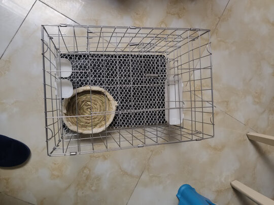 鸟笼
