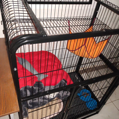  猫笼