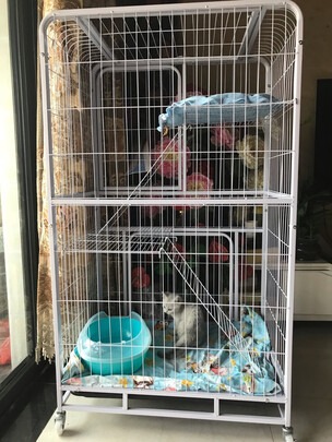  猫笼