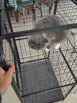  猫笼