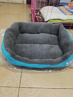 猫窝