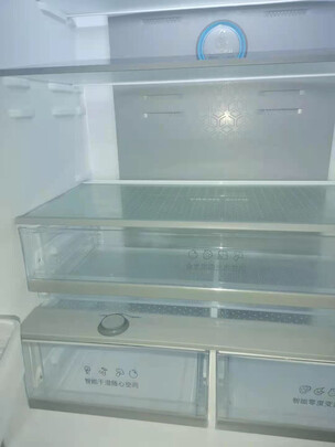 容声BCD-451WD11FP一个月后开始后悔了诉说原因