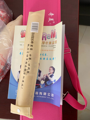 乐器口风琴