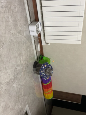宠物饮水机
