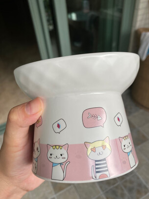 猫碗狗碗