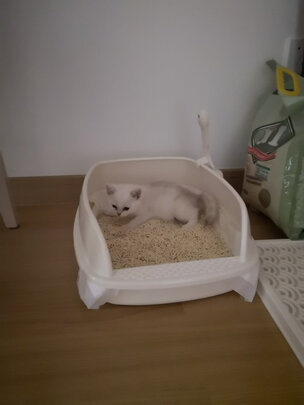 猫砂盆