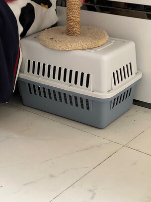 宠物航空箱