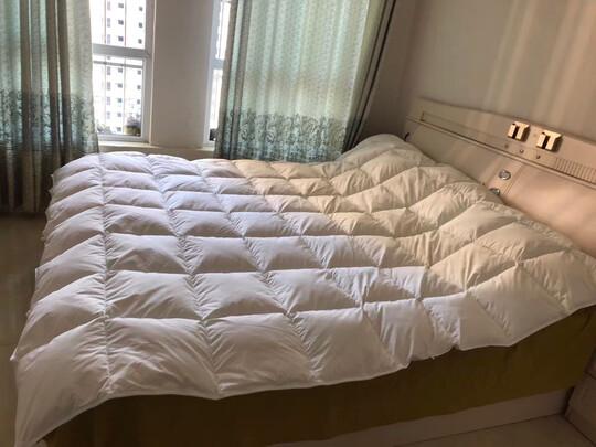 AIDLI羽绒被是哪里生产的，值吗