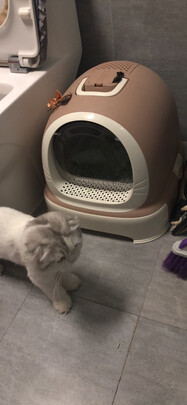 猫砂盆