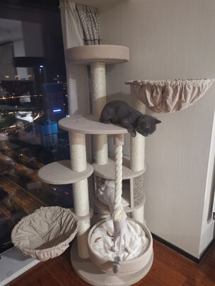 猫爬架