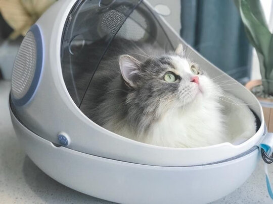 猫包