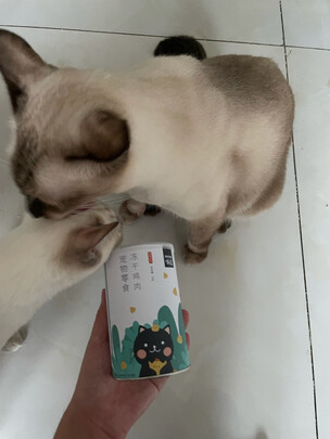 猫冻干