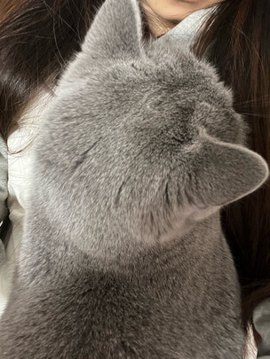 猫粮罐头