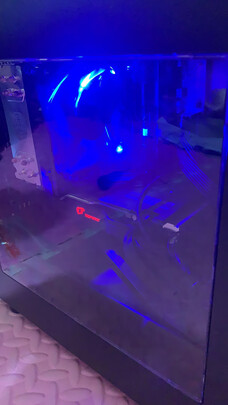 权威发布七彩虹 GTX1650 1660SUPER怎么样?千万不要被忽悠了