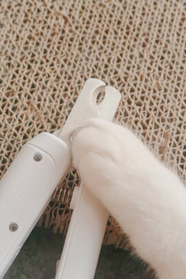 猫咪指甲剪