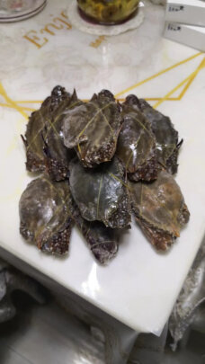 图片[1] - 鮨京梭子蟹口感鲜美如何？肉母4斤，约8-12只 - 淘实惠