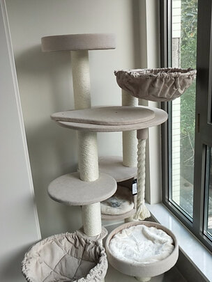 猫爬架