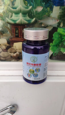 鱼缸硝化细菌