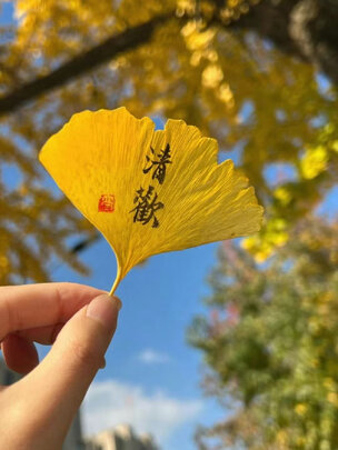 运动水壶
