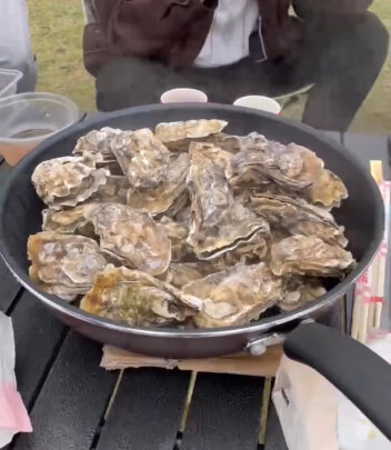 野餐用品